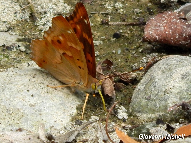 Parco del Ticino :incontri del 18/7/15